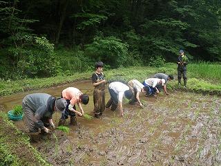 120610taue%20%287%29.jpg