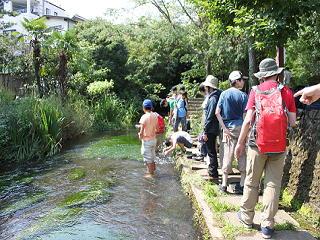 20120728kakitagawa-5.JPG