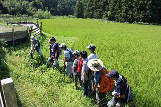 20120824tochigi7.JPG