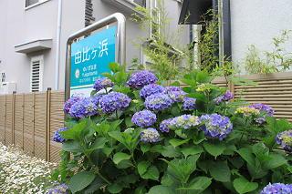 20130529kamakura-6.JPG