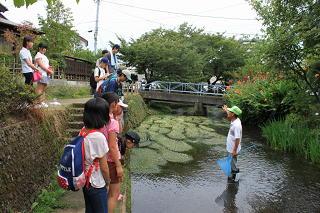 20130918kakitagawa8.jpg