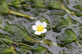 20130918kakitagawa9.jpg