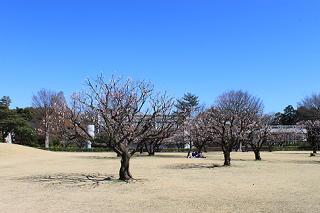 20140321-22tennmonn6.JPG