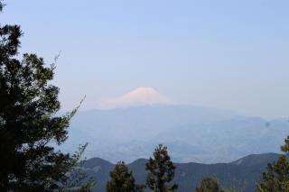 20140428jinnba4.JPG