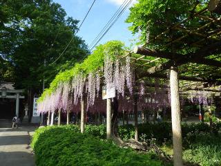 20150504akishima10.JPG