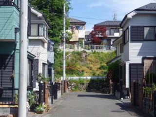 20150504akishima3.JPG