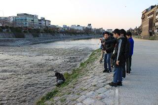 jyunnkenn2012spring2-1.JPG